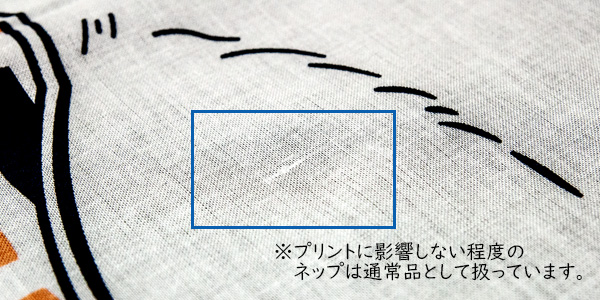 ネップのサンプル写真です。