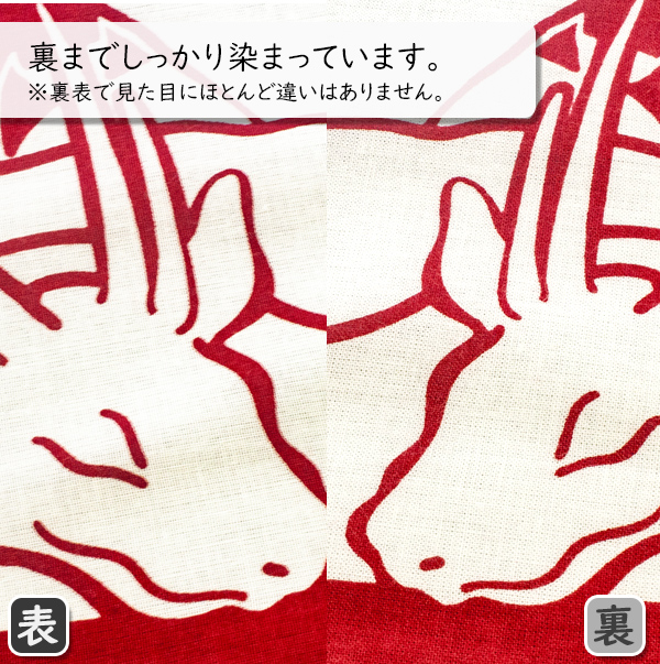 左が表面、右が裏面