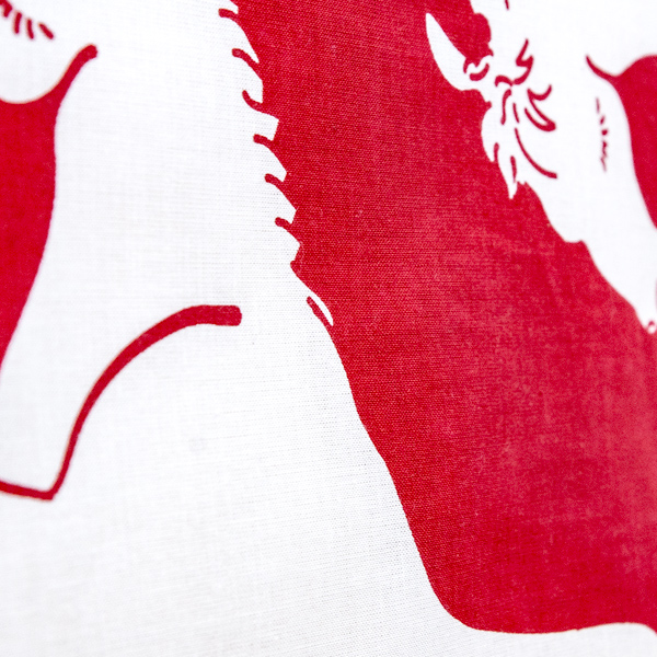 クローズアップした写真です