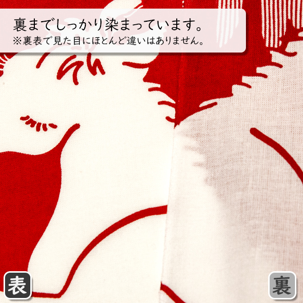 左が表面、右が裏面