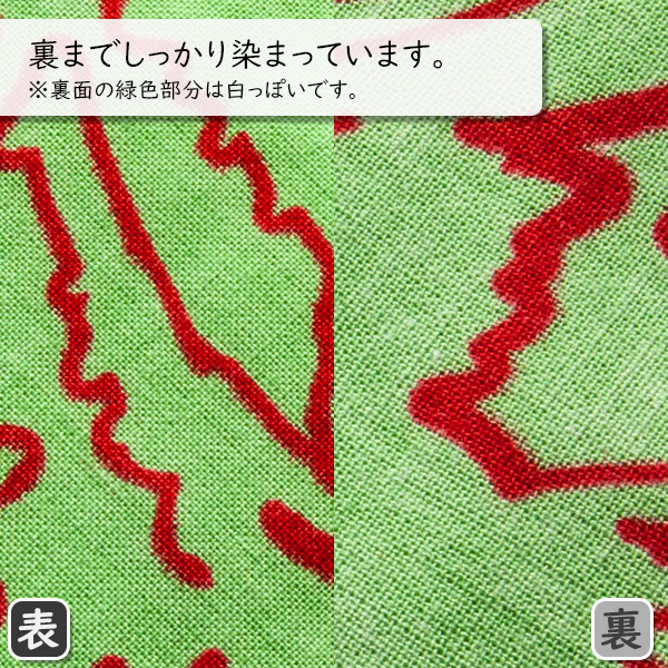 左が表面、右が裏面