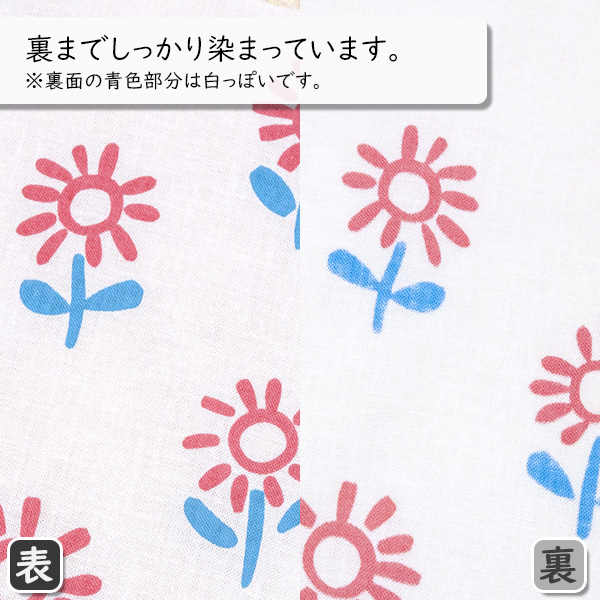 左が表面、右が裏面です