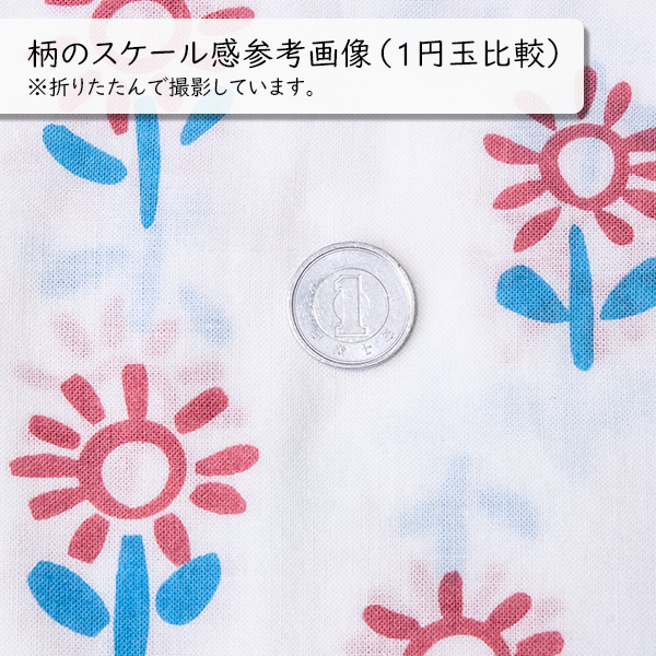 柄のスケール感参考用に1円玉と一緒に撮影した写真です