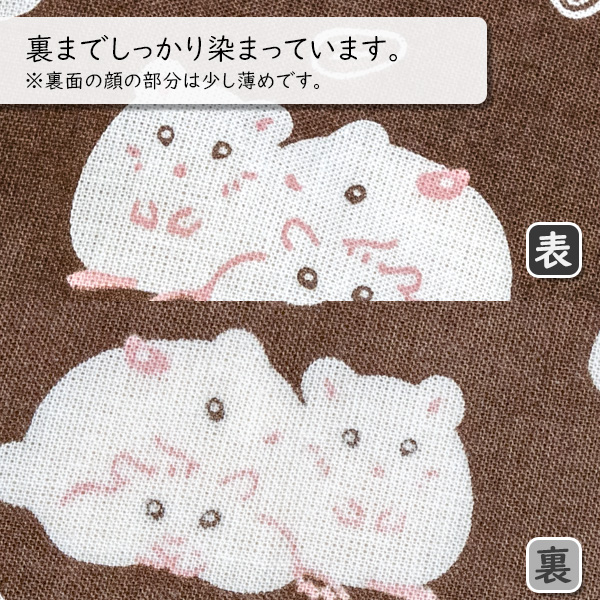 左が表面、右が裏面です