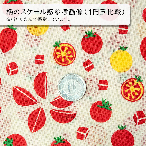柄のスケール感参考用に1円玉と一緒に撮影した写真です